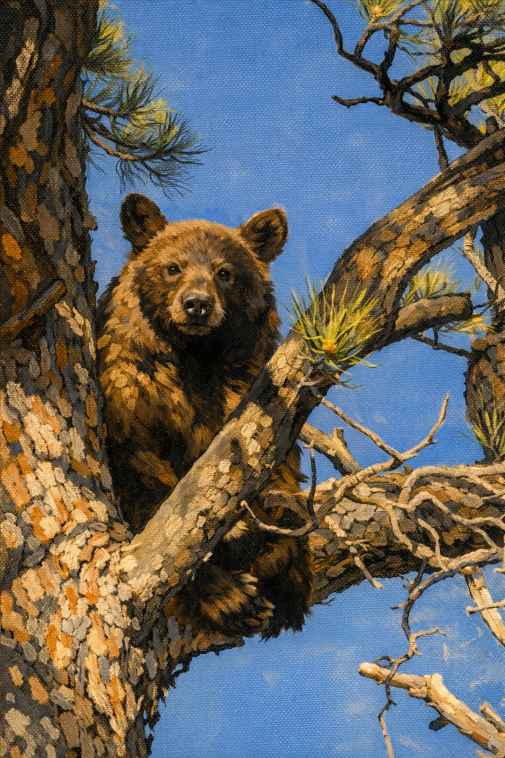 Above the Timber - NEW!