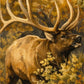 Autumn Bugle - NEW!