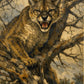 Branchline Fury - NEW!