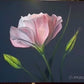Blush Bloom
